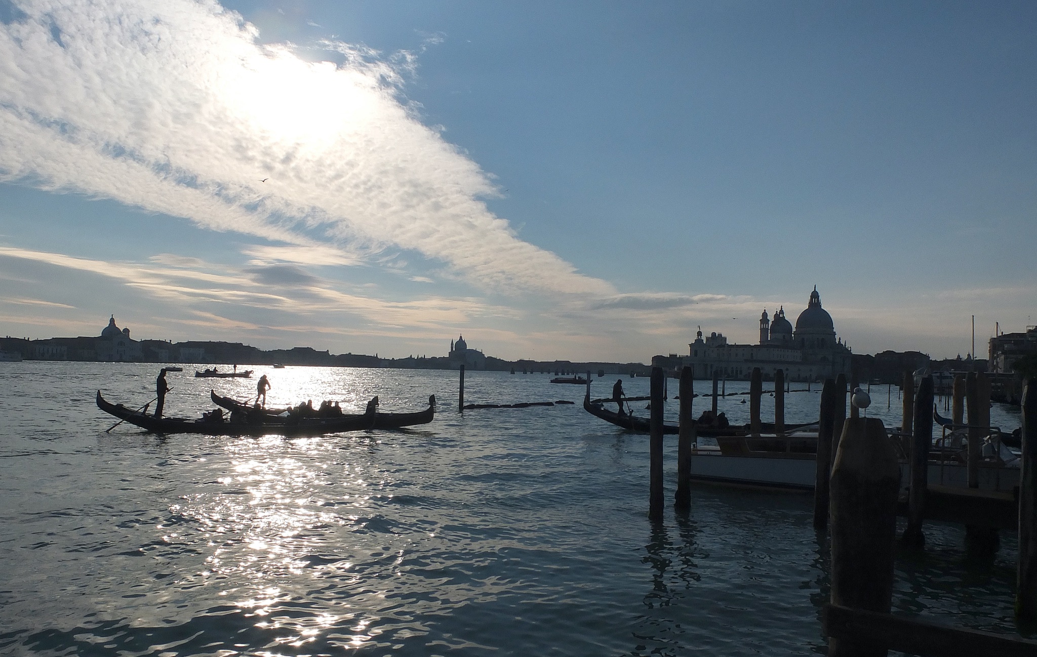 Venice Contrasts 2014